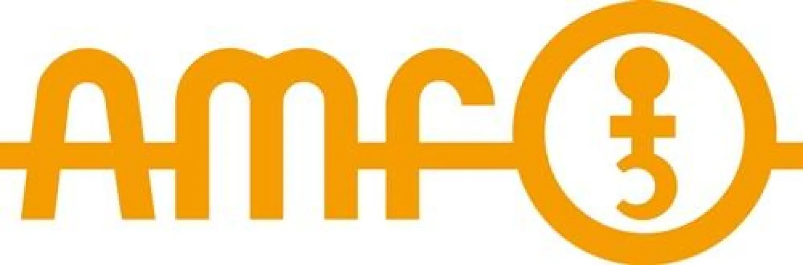AMF Spannunterlage Nr. 6500E Größe 1 - 73296