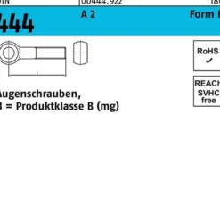 Augenschraube DIN 444 FormB BM 20x 90 A 2 1 Stück