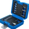 BGS Schraubenausdreher-Satz | für Innensechskant 1,5 - 10 mm / T-Profil (für Torx) | T10 - T55 | 19-tlg. - 9173-1