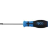 BGS Schraubendreher T-Profil (für Torx) mit Bohrung T25 Klingenlänge 100 mm - 7849-T25
