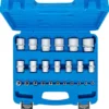 BGS Steckschlüssel-Einsatz-Satz Sechskant Antriebe Innenvierkant 6,3 mm (1/4"), 12,5 mm (1/2") Zollmaße 24tlg. - 2246