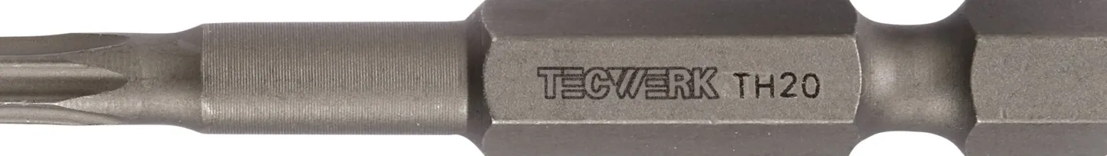 Bit 1/4 Zoll T 40 L.50mm m.Bohr.TECWERK