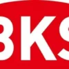 BKS ZT-Einsteckschl.0215 BB 20/ 55/72/8mm DIN R silber rd Kl 1 Zinkdruckgruss - 2150127