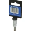 BRILLIANT TOOLS 1/4" Schlitz Bit-Stecknuss 1,2 x 7 mm - BT020813