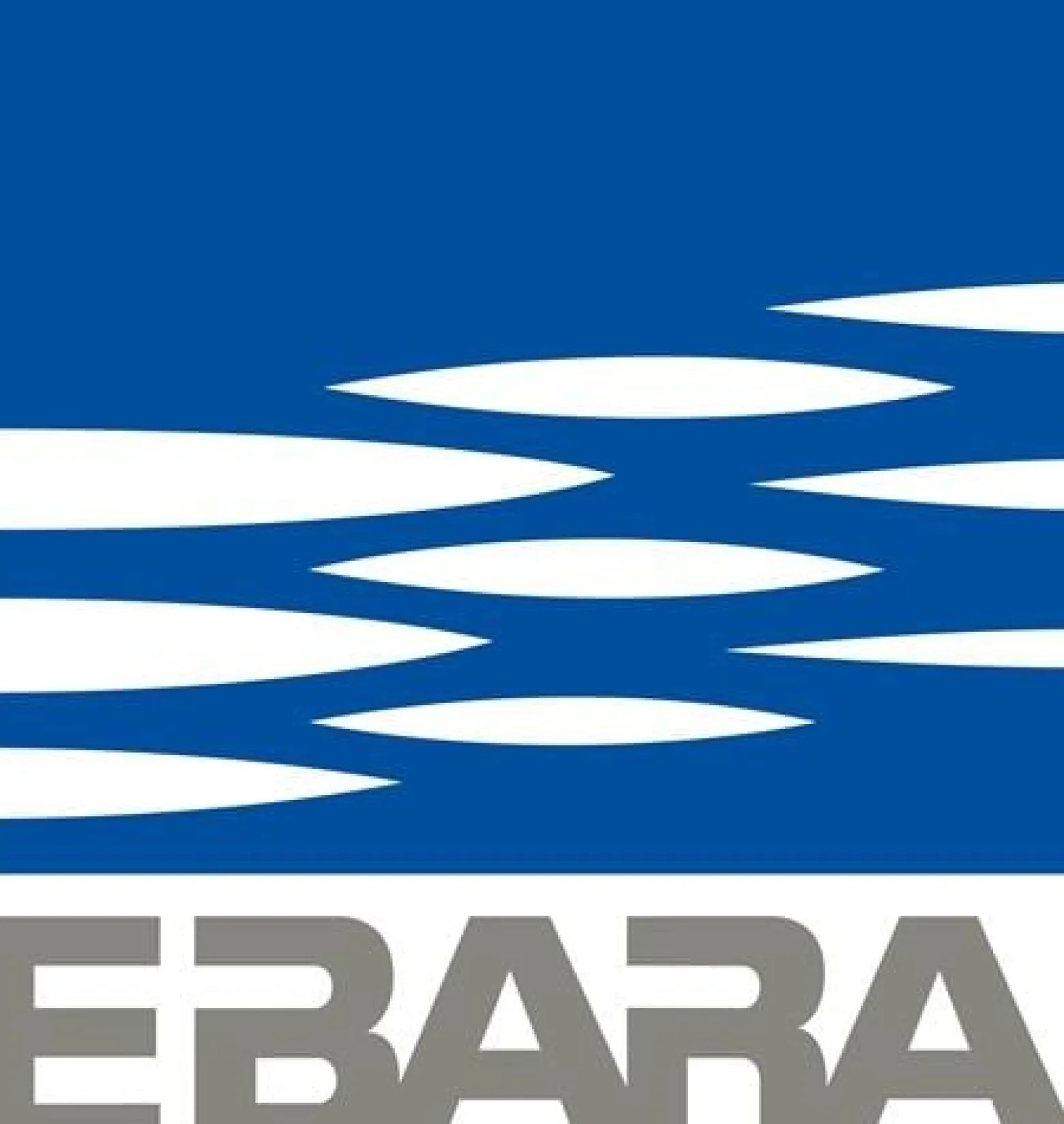 Ebara Tauchpumpe Optima M 9000 l/h - 1751006500 (6000003066)
