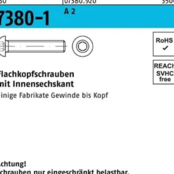 Flachkopfschraube ISO 7380-1 Innen-6kt M3x 5 A 2 500 Stück