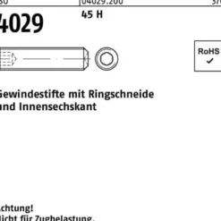 Gewindestift ISO 4029 Ringschneide/Innen-6kt M20x 50 45 H 50 Stück
