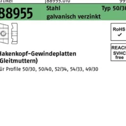 Hakenkopfgewindeplatte R 88955 Typ 50/30 M12 Stahl galv.verz. 50 Stück