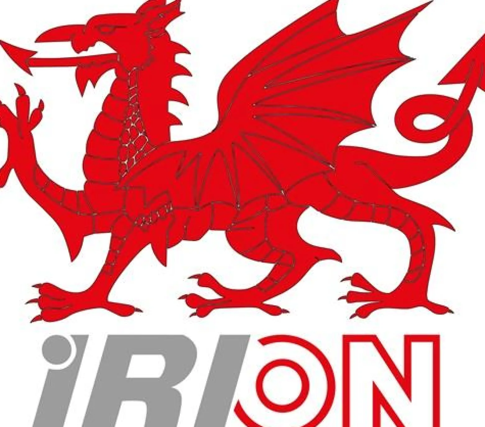 IRION 1K-Montagepistole Metall Lite-Plus Metall,Ku.f - 781198