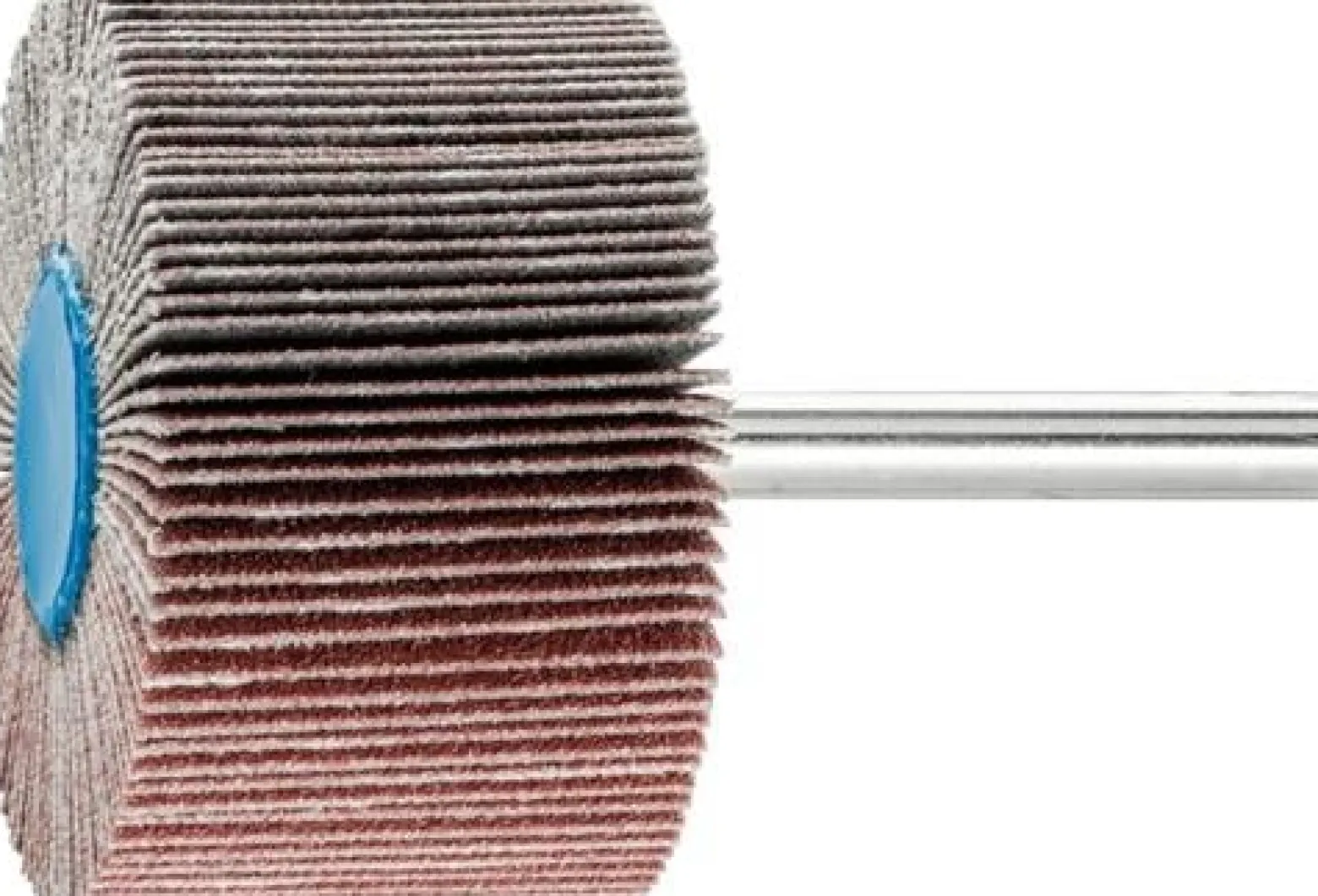 PFERD Fächerschleifer Ø 50 x H 30 mm Körnung 120 - 44503126