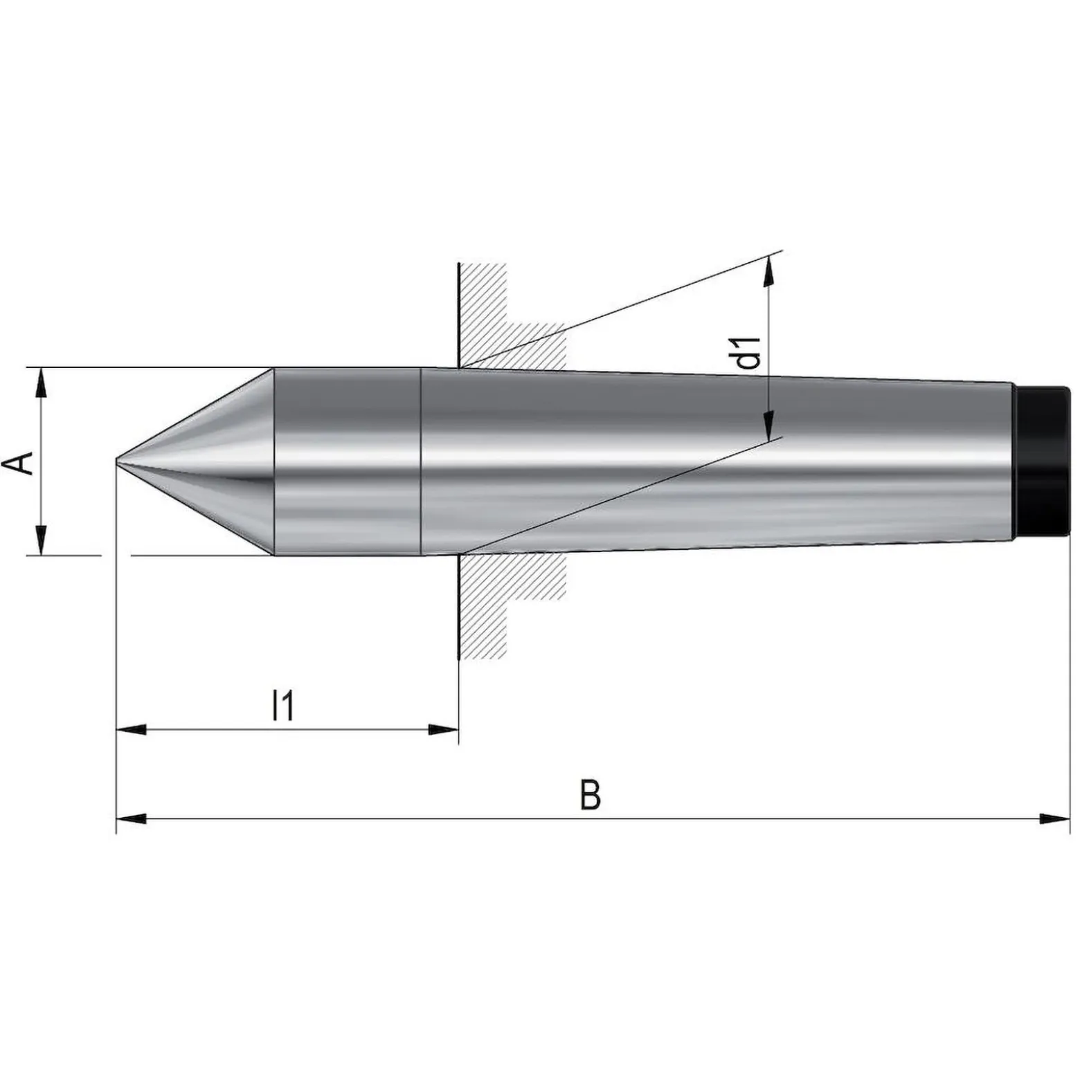 Röhm Feste Zentrierspitzen, Aufnahme MK 1, DIN 806, volle Spitze Werkstoff: WS - 013707