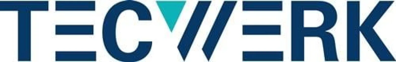 Ringmaulschlüssel SW 17mm L.210mm Form A CV-Stahl TECWERK