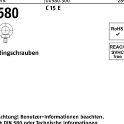 Ringschraube DIN 580 M12 C 15 E 10 Stück