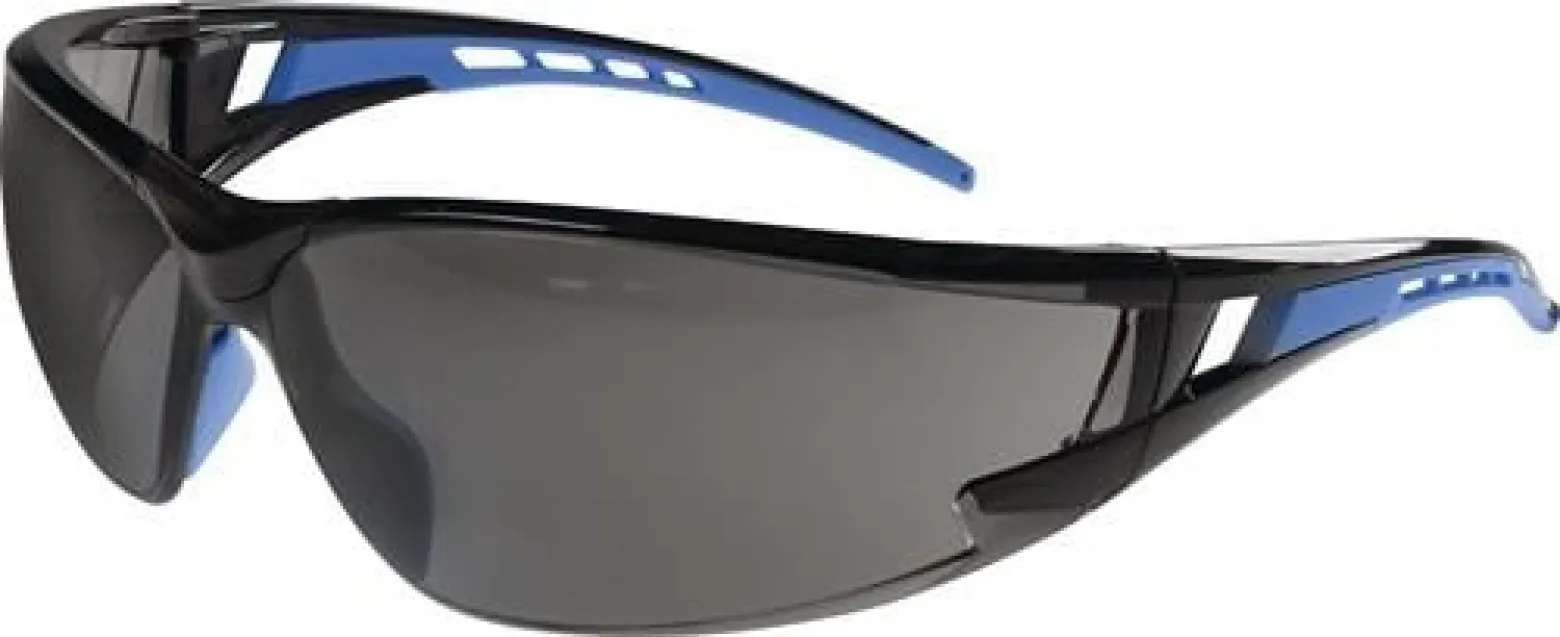 Schutzbrille Falcon 2 EN 166 Bügel blau Scheibe getönt - 9920