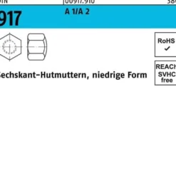 Sechskanthutmutter DIN 917 niedrige FormM6 A 1/A 2 500 Stück