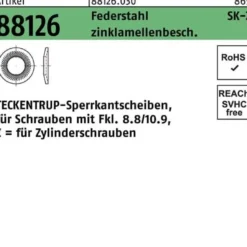 Sperrkantscheibe R 88126 Z 16x24,6x2,5 Federst. zinklamellenb. 100St. TECKENTRUP