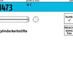 Zylinderkerbstift DIN 1473 8x 60 A 1 100 Stück